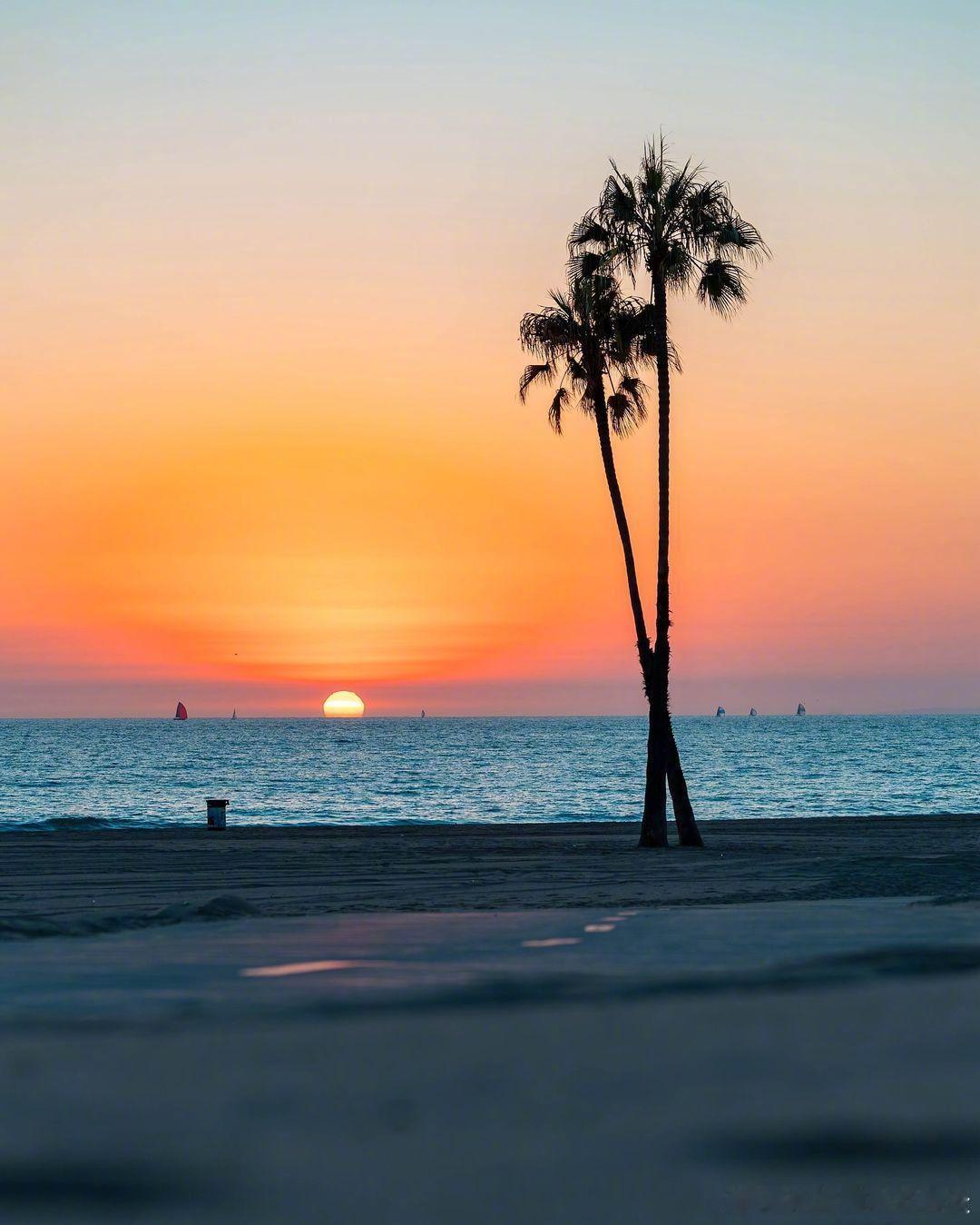 洛城里 海边落日🧡🌴📷 lenafound / IG 湖人国度   cr：
