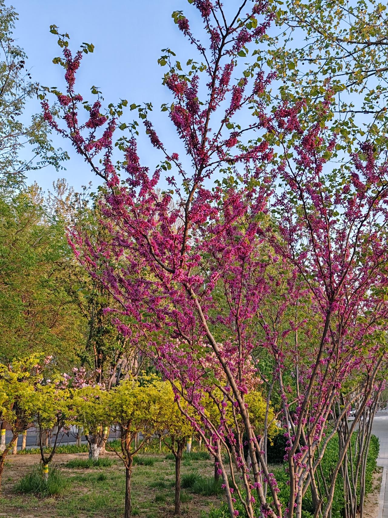 俗套了。无儿无女，难道财产就毫无意义了吗？人活一世，不过是追求生时荣耀、死后哀荣