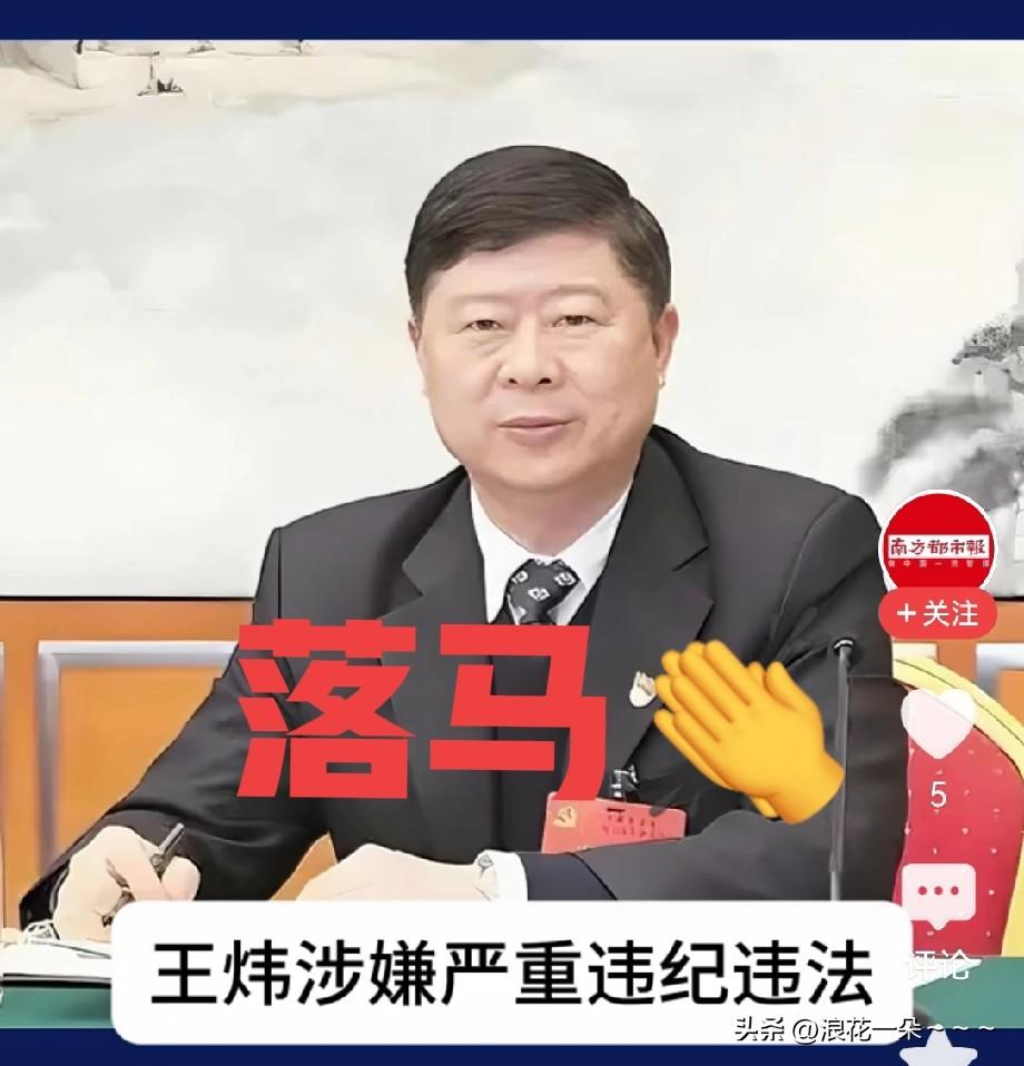 马上就退休了，
博士厅级干部“王炜”被查，简历显示，他出生于武汉，生长于武汉，成