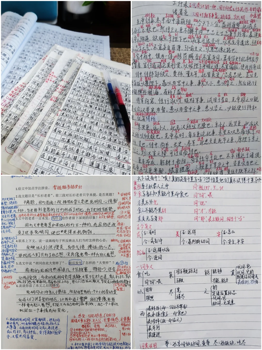 2025寒假，一起来打卡呀