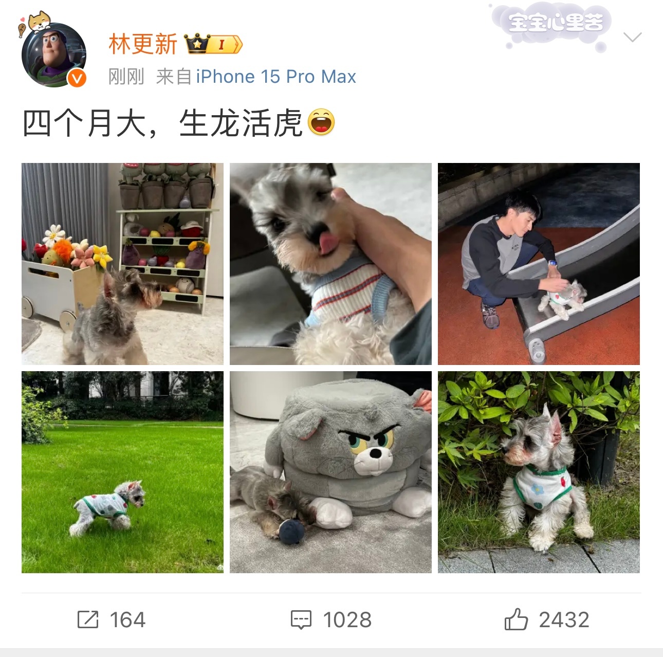 #林更新的狗四个月了# 好可爱的狗狗[苦涩]给我抱抱 ​​​