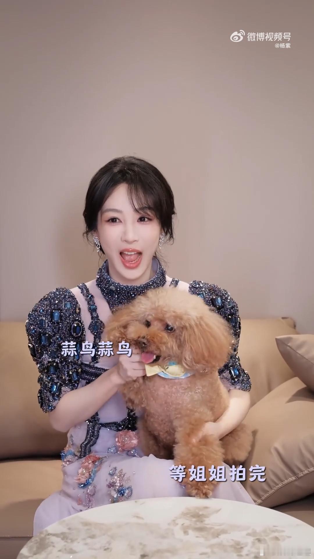 杨紫piupiu扔零食挑战杨紫piupiu零食挑战 ​​​萌物 ​​​