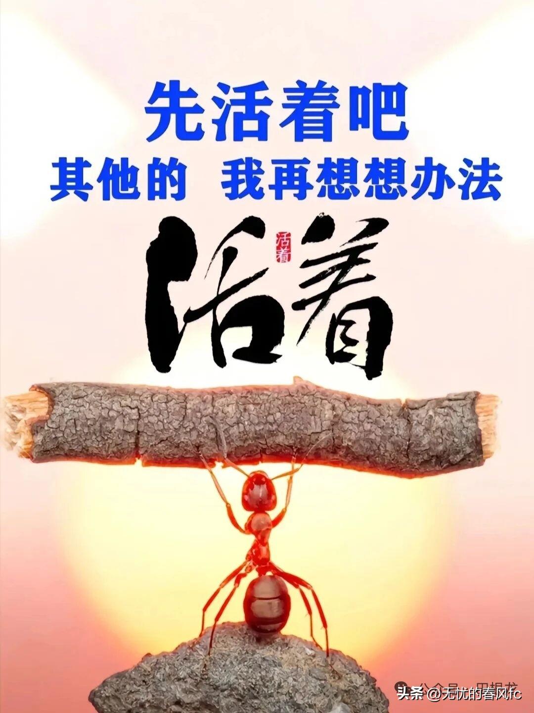 90%的人都白读了历史！只记故事不悟人性，永远学不会清醒
 有人读史，博览古今、
