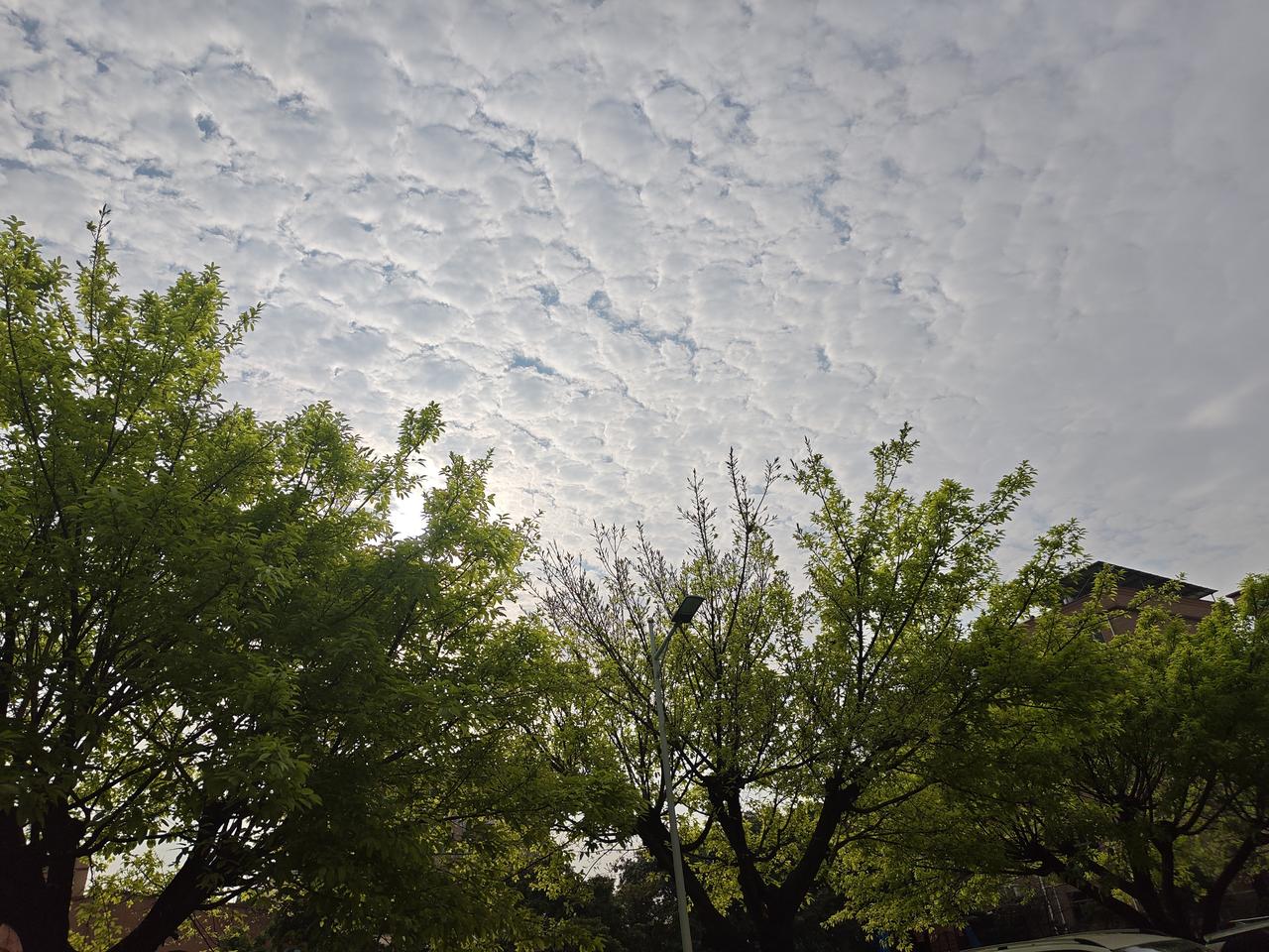 集卡点灯领现金我正在参加集卡点灯分20万春节活动。集卡点亮灯笼，可获得现金奖励，