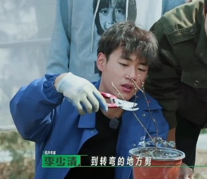 前有陈少熙在种地吧和李耕耘的剪枝名场面，后有组队修剪城市绿植，剪枝DNA是刻在他