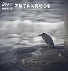不属于你的莫动念…[泣不成声]