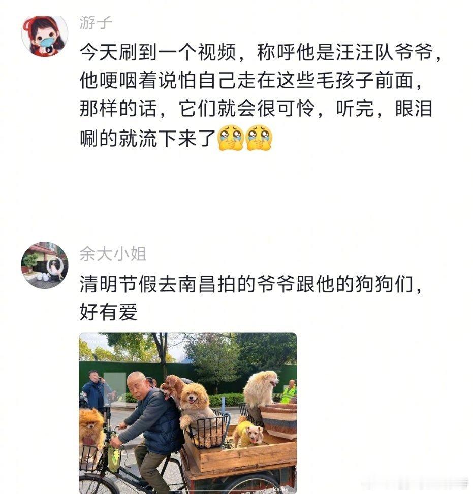 老人的狗狗巴士幸运且治愈 （