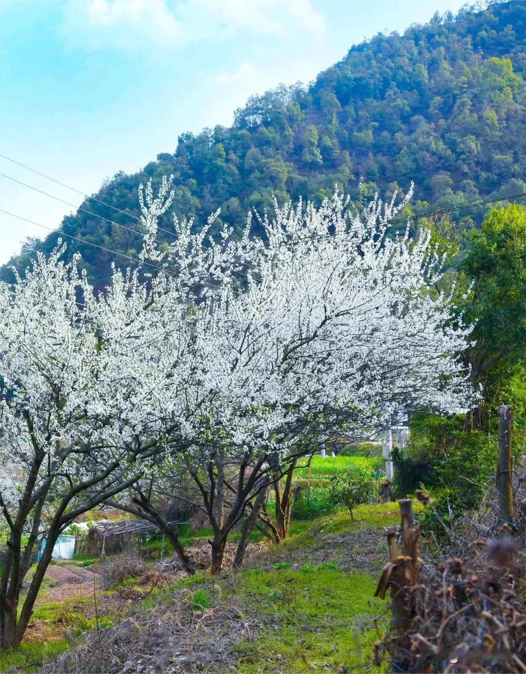 时光渡口，岁月如歌
