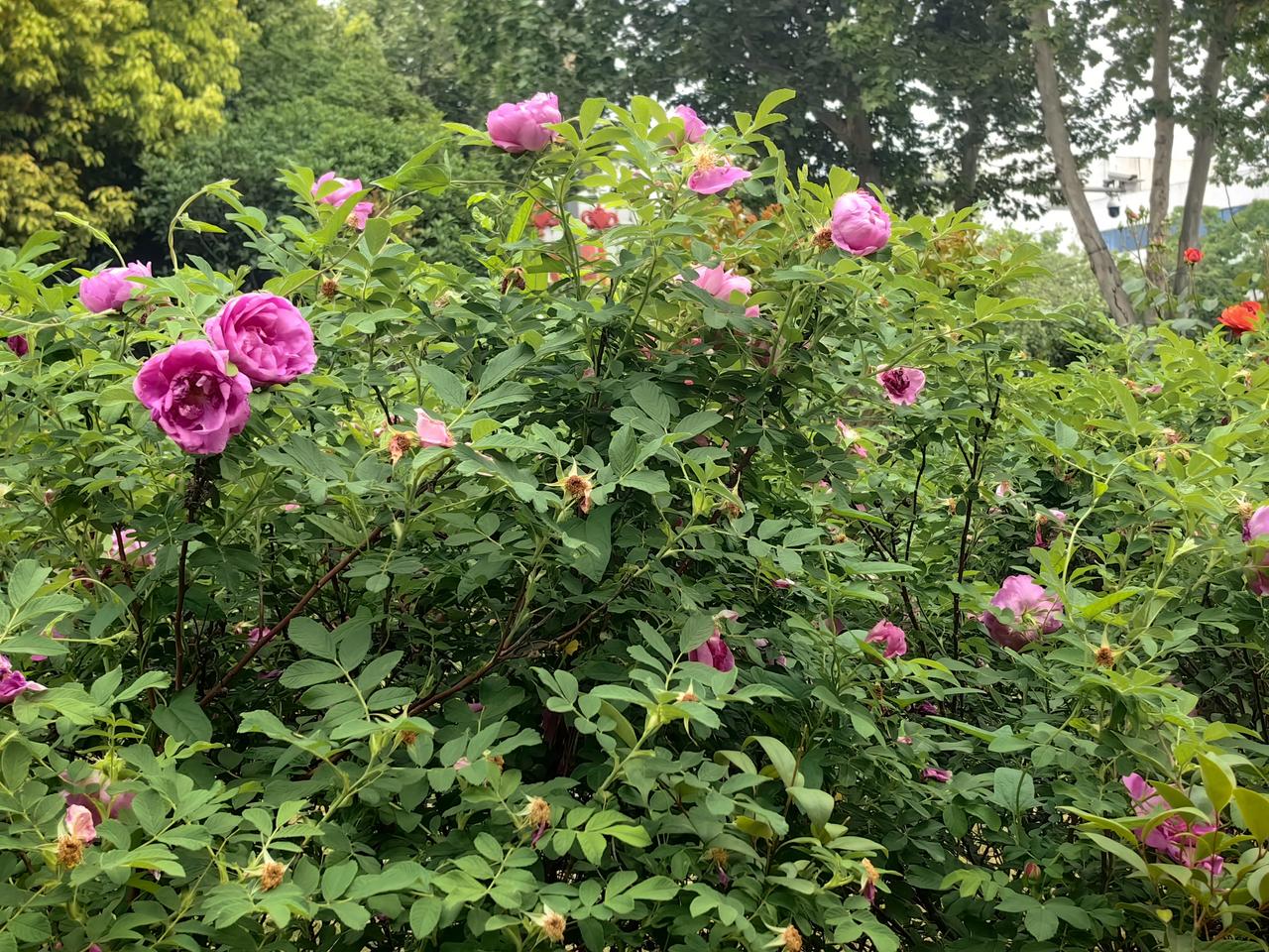 我的今日状态：😁轻松愉快
我这里的天气：🌧下雨