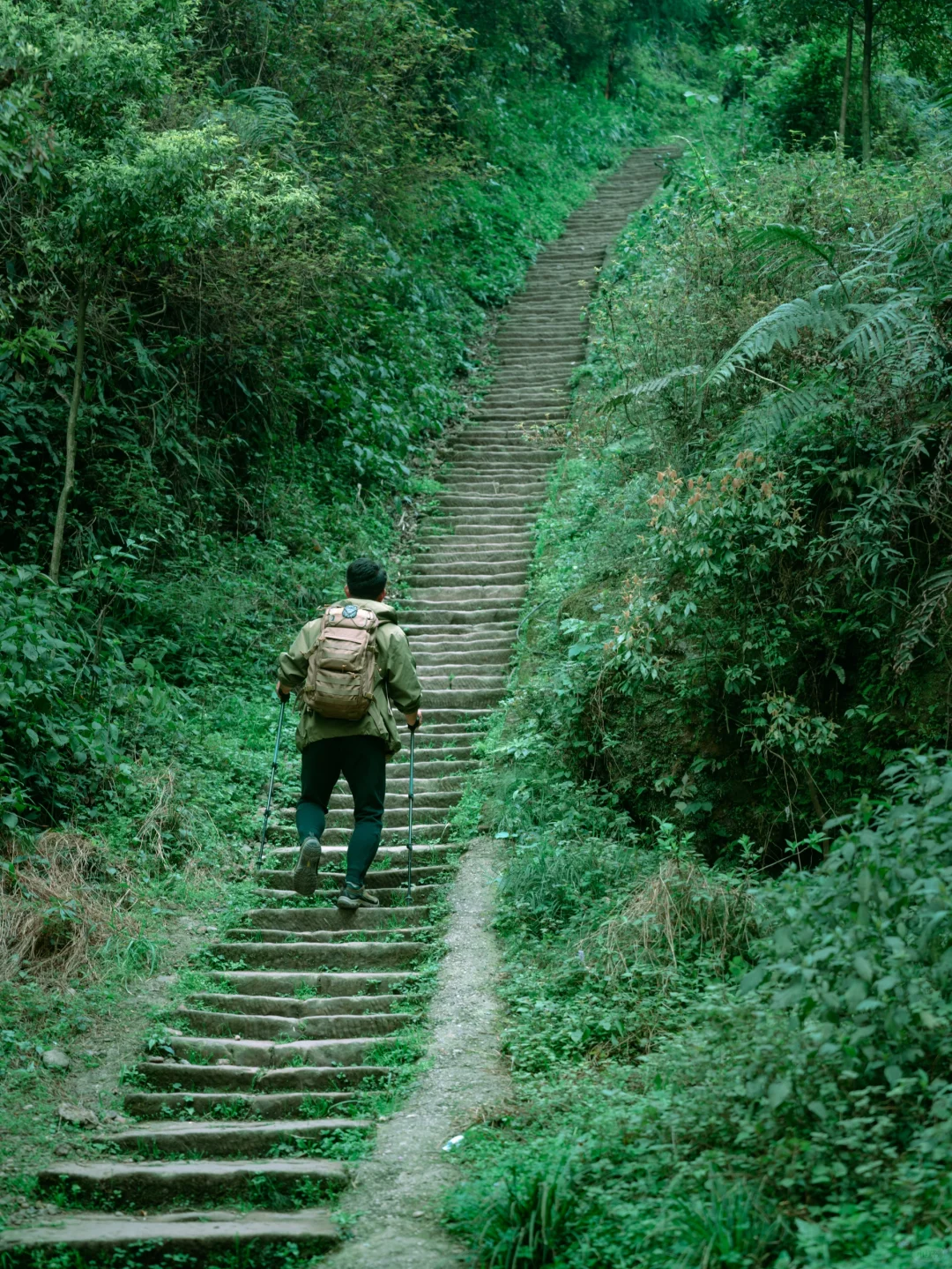 一天徒步路线⛰快来免费山野徒步 放肆撒野