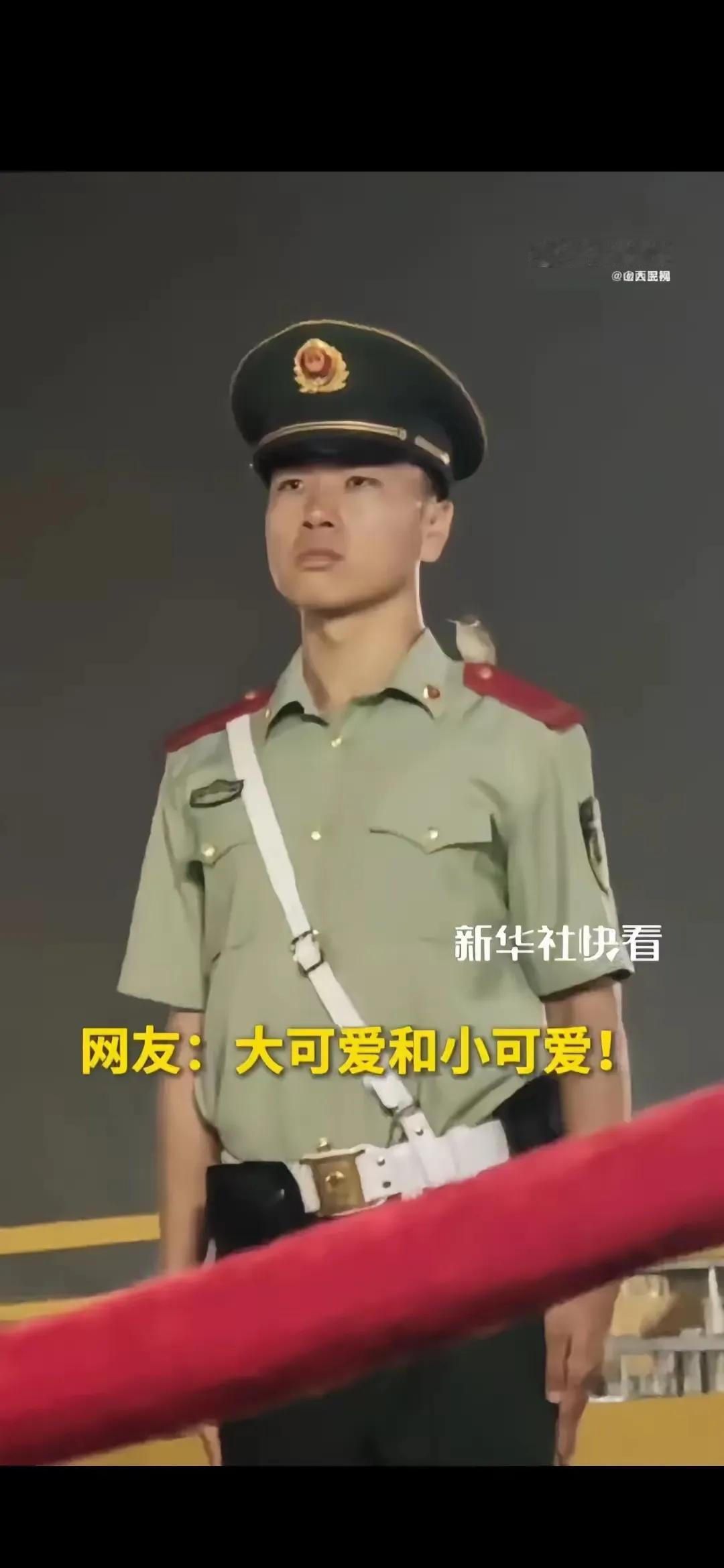 破防了！小鸟“打卡”中国军人肩膀，这一幕让14亿人泪目
 
天安门广场的升旗仪式