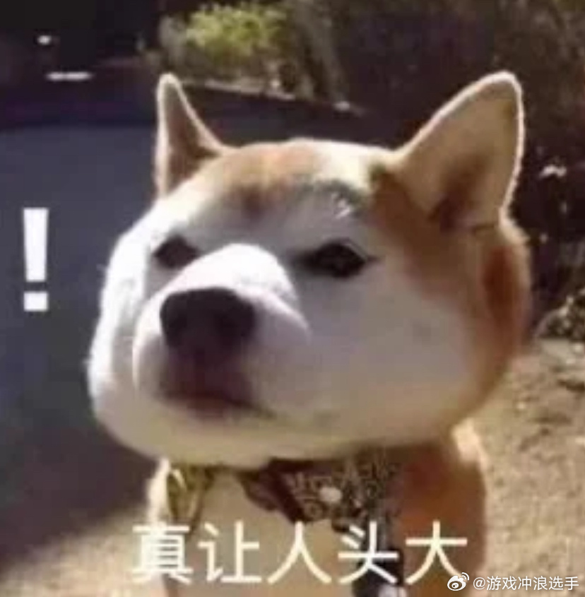 蒙淇淇 你怎么说得出口当年莫离传出白鹿要演的时候距离开机还有很久，经常有瓜主说莫