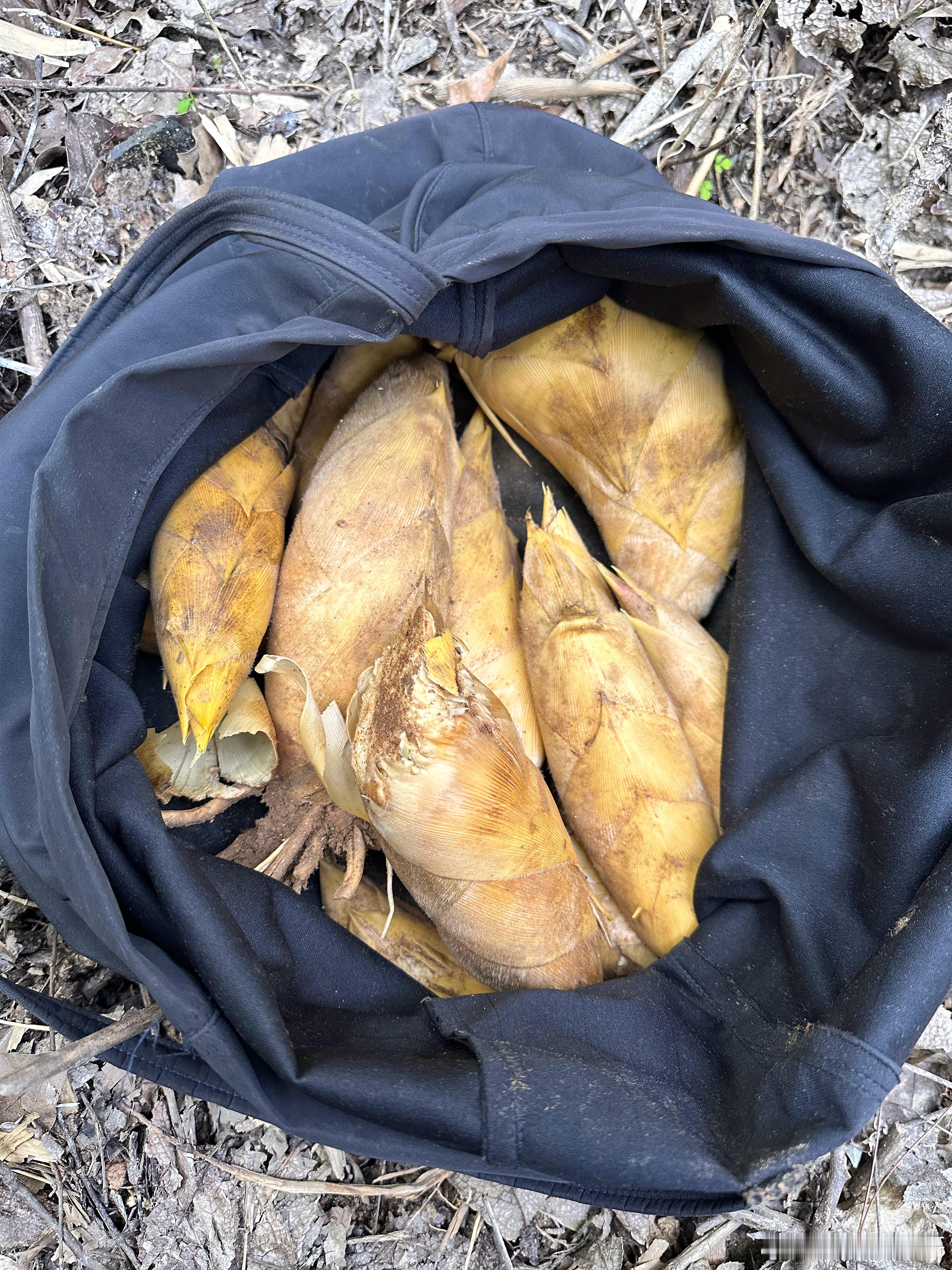 今天的收获  十杯星巴克都不带换的！ 