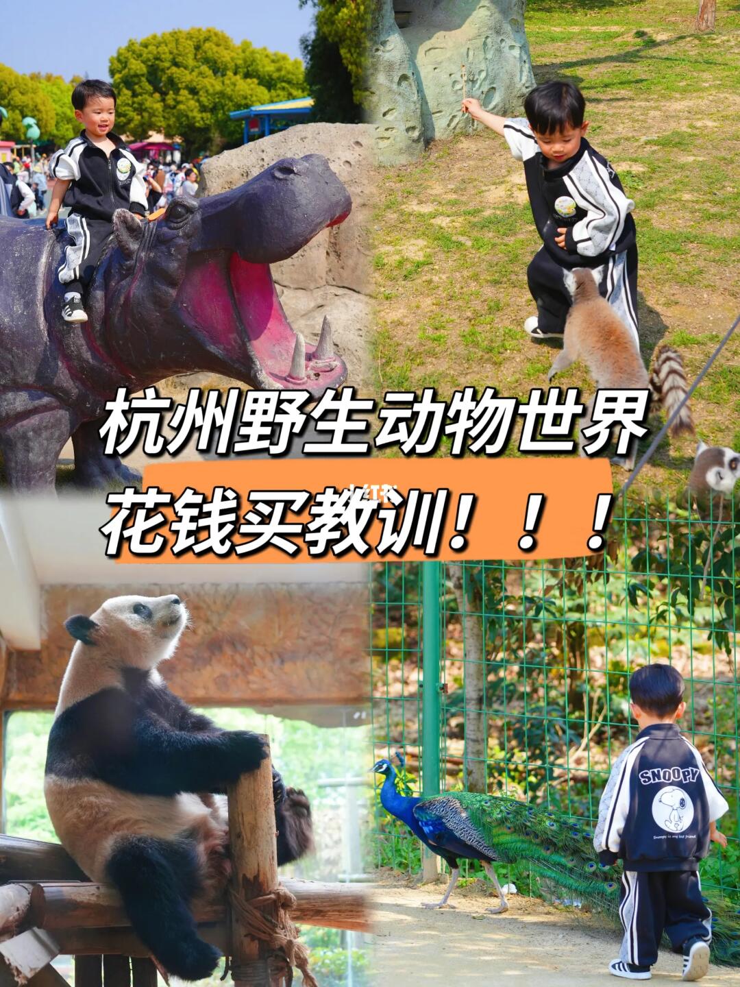 五一游杭州野生动物世界/必看的8条心得！