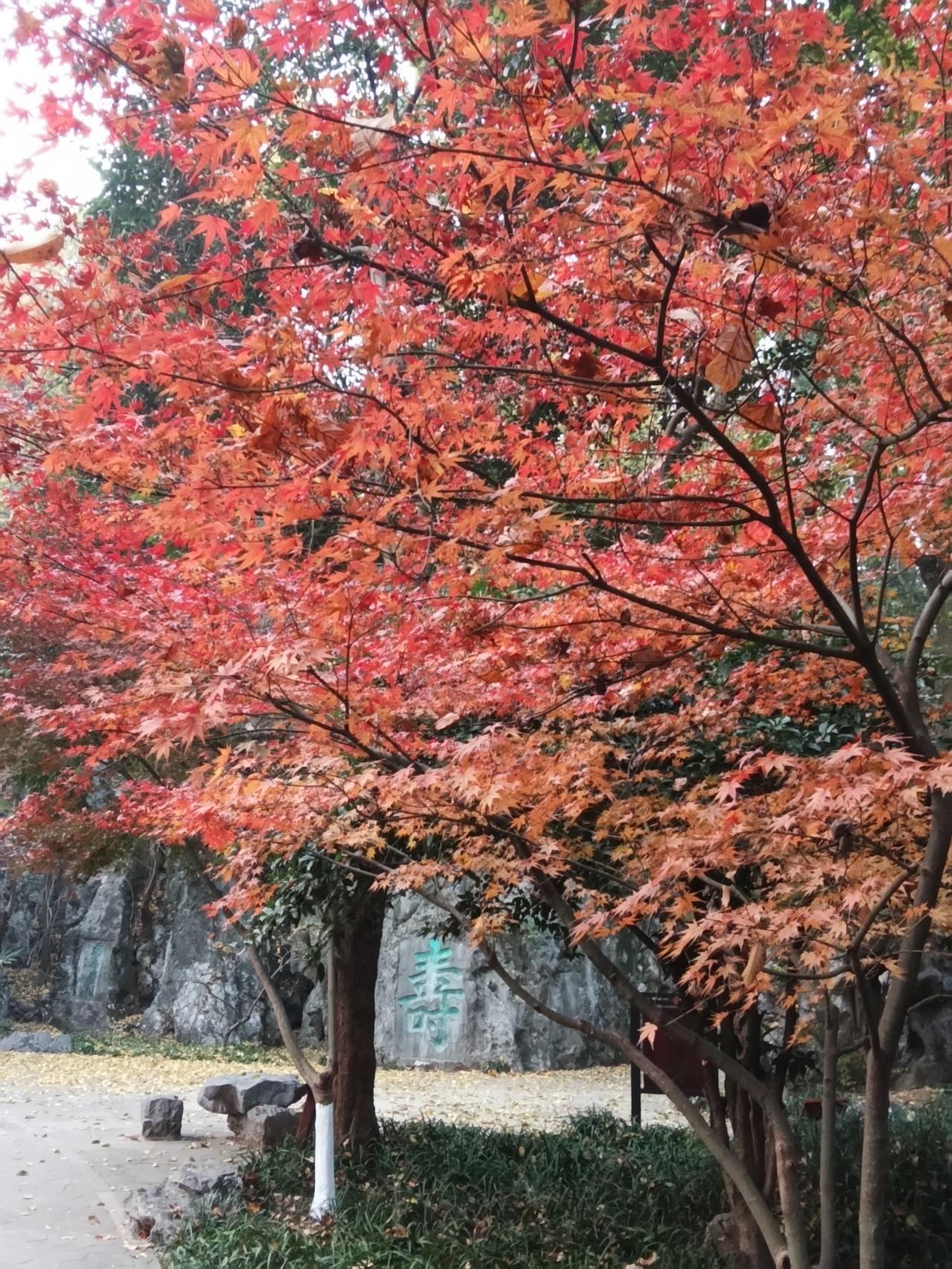 分享手机里随手拍的风景照片