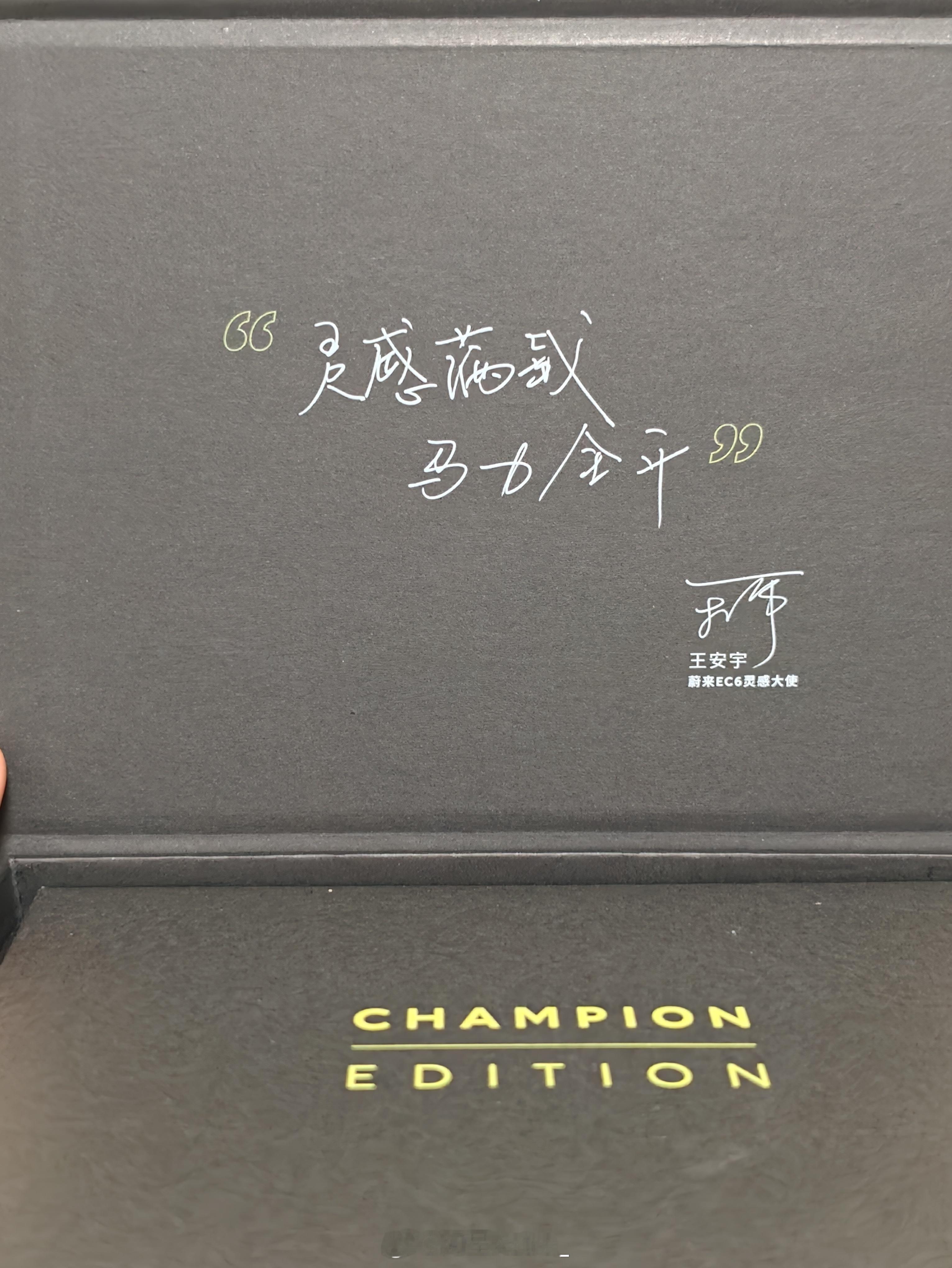 王安宇阳光、积极，有少年感！蔚来EC6冠军纪念版则把设计、运动感和品牌质感结合得