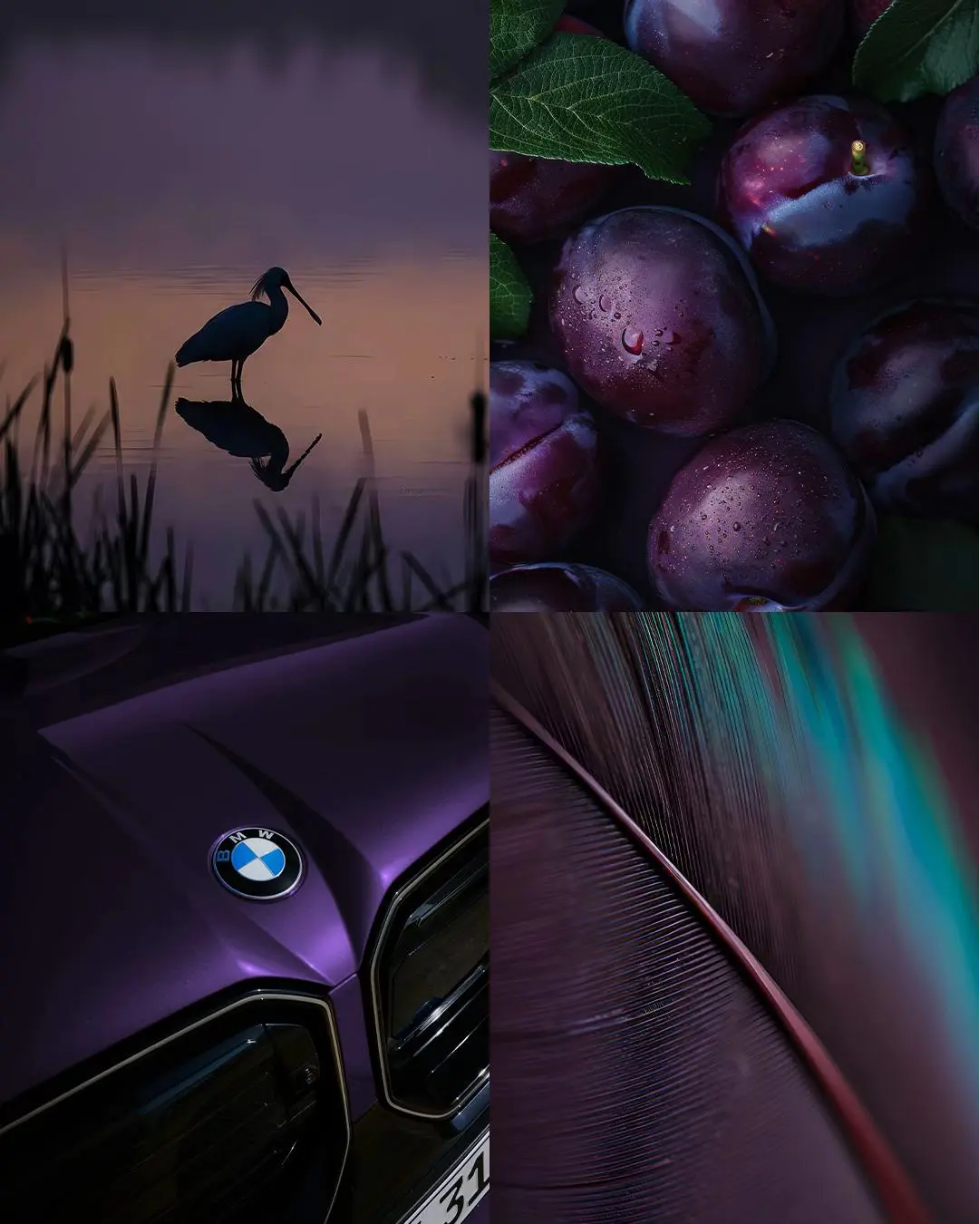 把世界的调色盘披在身上，是种什么体验？。和BMW X3去观世界，看的不...