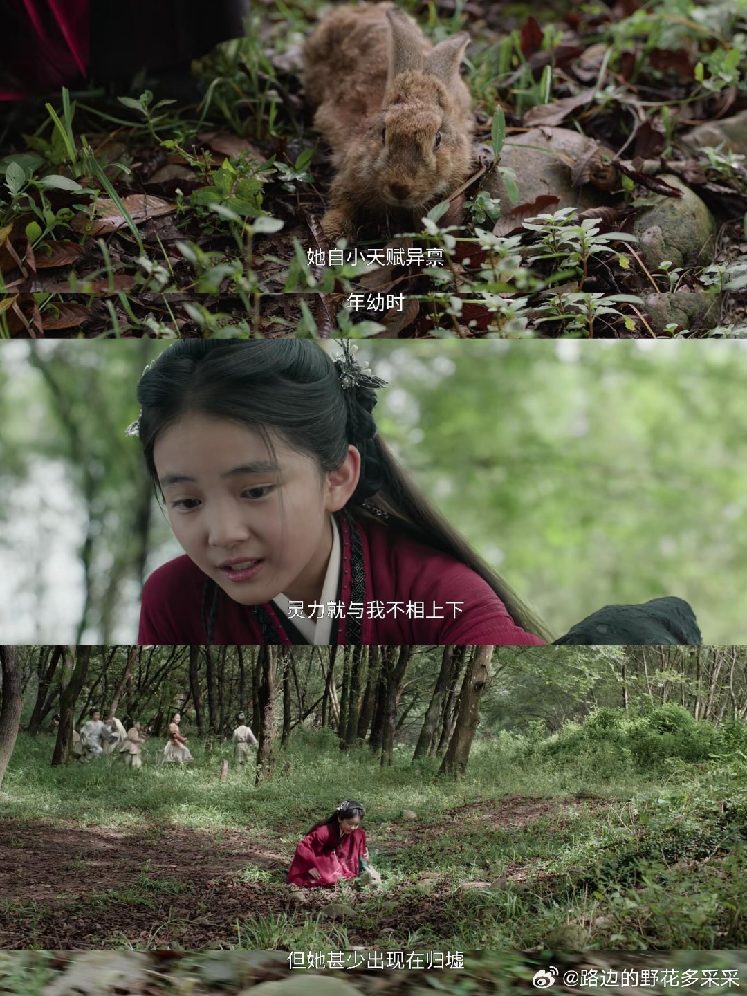 贺思慕这设定挺难的不死不灭+生来无五感+被迫上班如果贺思慕执念为权利，那么她当上