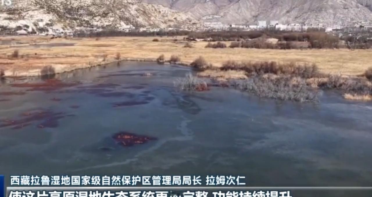 从藏地的拉鲁湿地到满座的讲堂，再到繁华的都市天际线，不同的画面勾勒出发展的多元脉