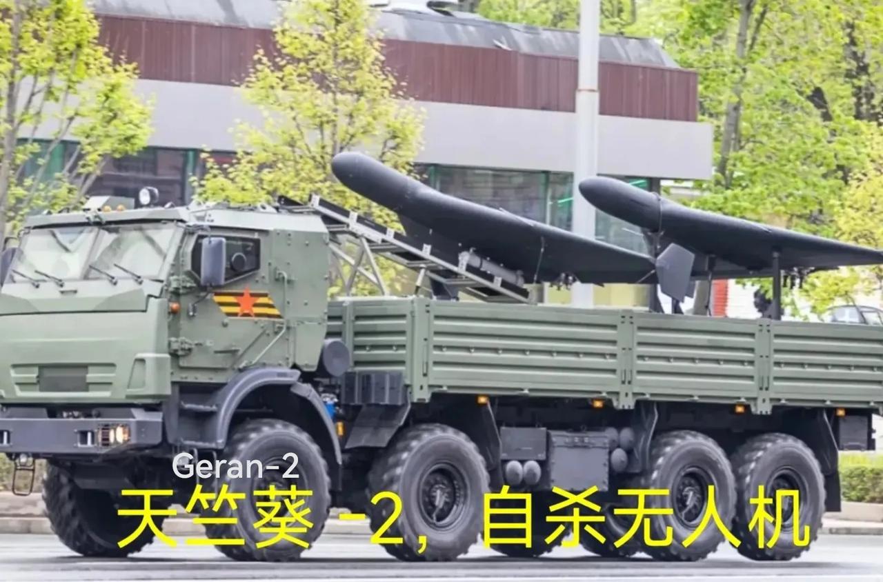当红场拖过来天竺葵习惯上人们称之为沙赫德，136，伊朗见证者。很小，重量只有20
