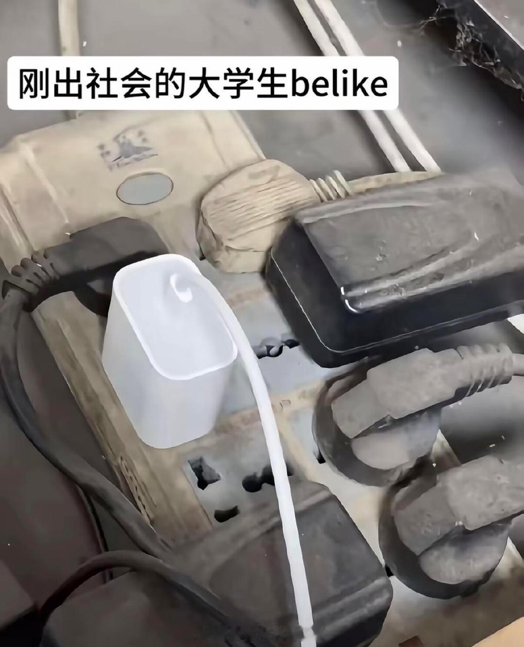 谁懂啊暑假冲浪计划 （