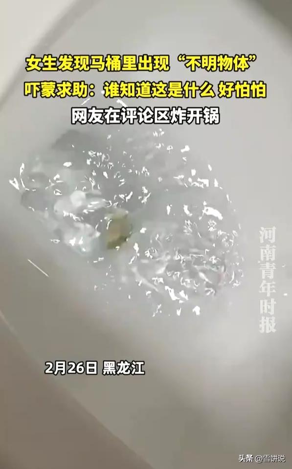 吓坏了！黑龙江伊春，女子在家里上厕所，低头一看马桶里面有个东西，她第一反应是塑料