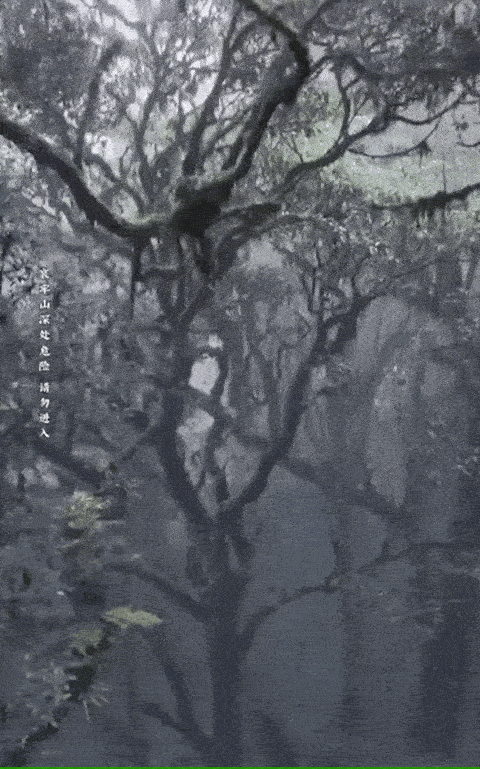 #解密哀牢山神秘之处##哀牢山野游#首先，人应该敬畏大自然，并不是不知者无畏，很