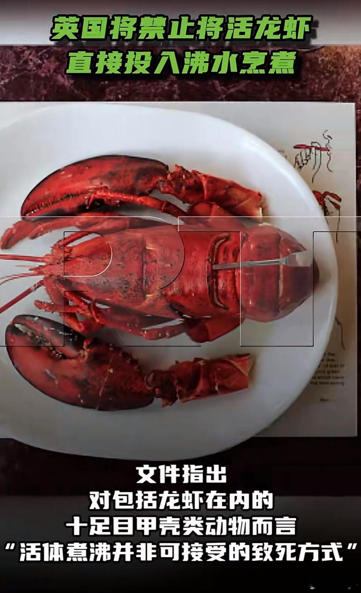 英国将禁止将活龙虾直接投入沸水烹煮脱了裤子放屁，多此一举，虚伪至极，你不吃不完了