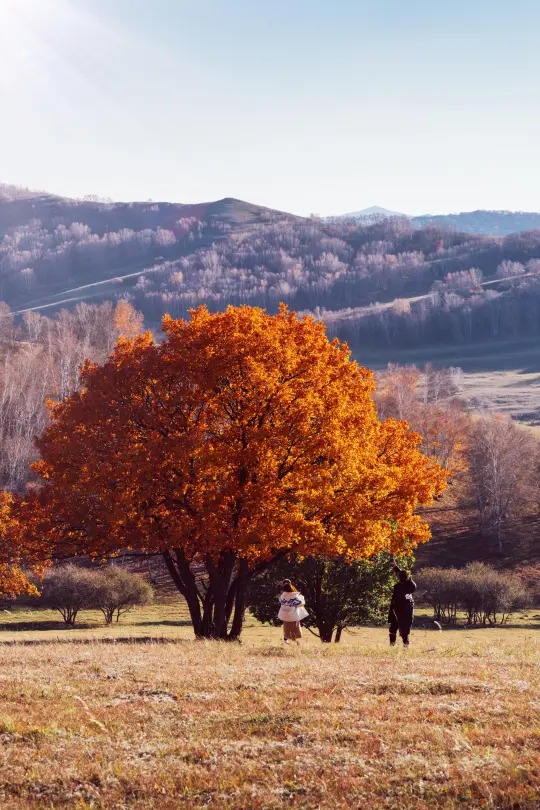国庆金秋～乌兰布统，后劲很大～