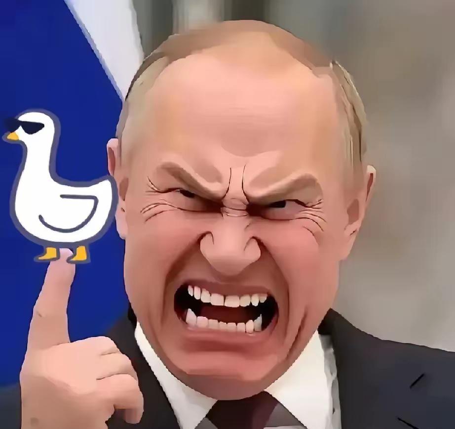 快讯！
俄罗斯总统普京宣布
2025年11月5日，俄罗斯总统普京在克里姆林宫做出