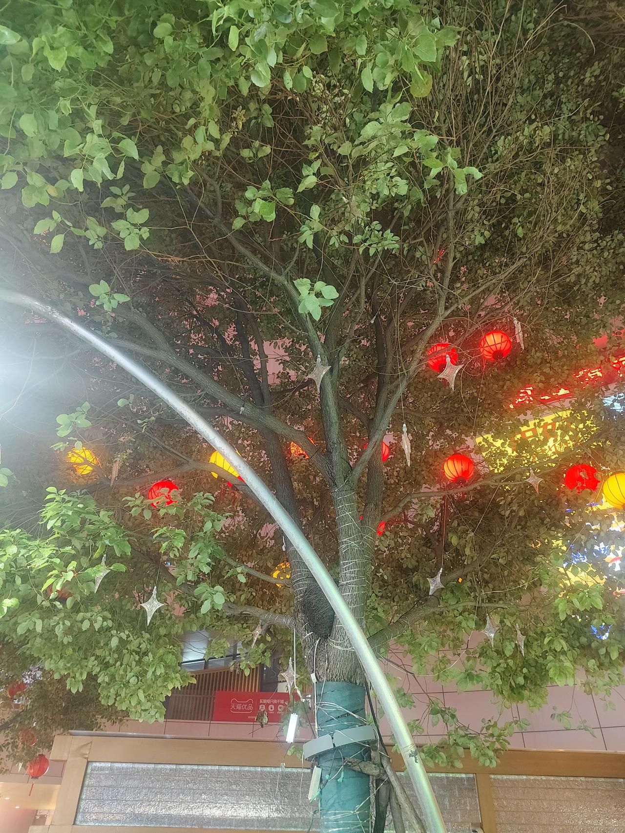 儿子高一寒假后开学分班，分到了尖子班，这周回来说，同学们都是各个原来班小集体，与