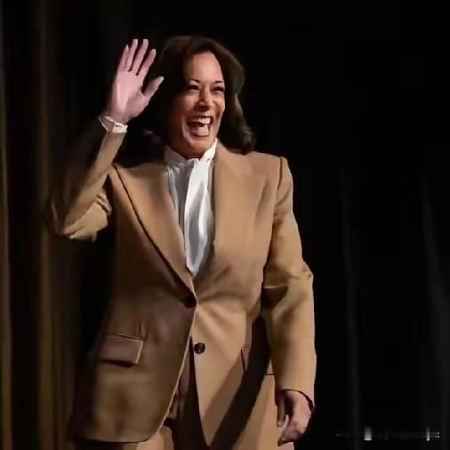 沉寂两年的美国前副哈里斯再次来到公众视野中，她声明有意参加2028美国总统大选。