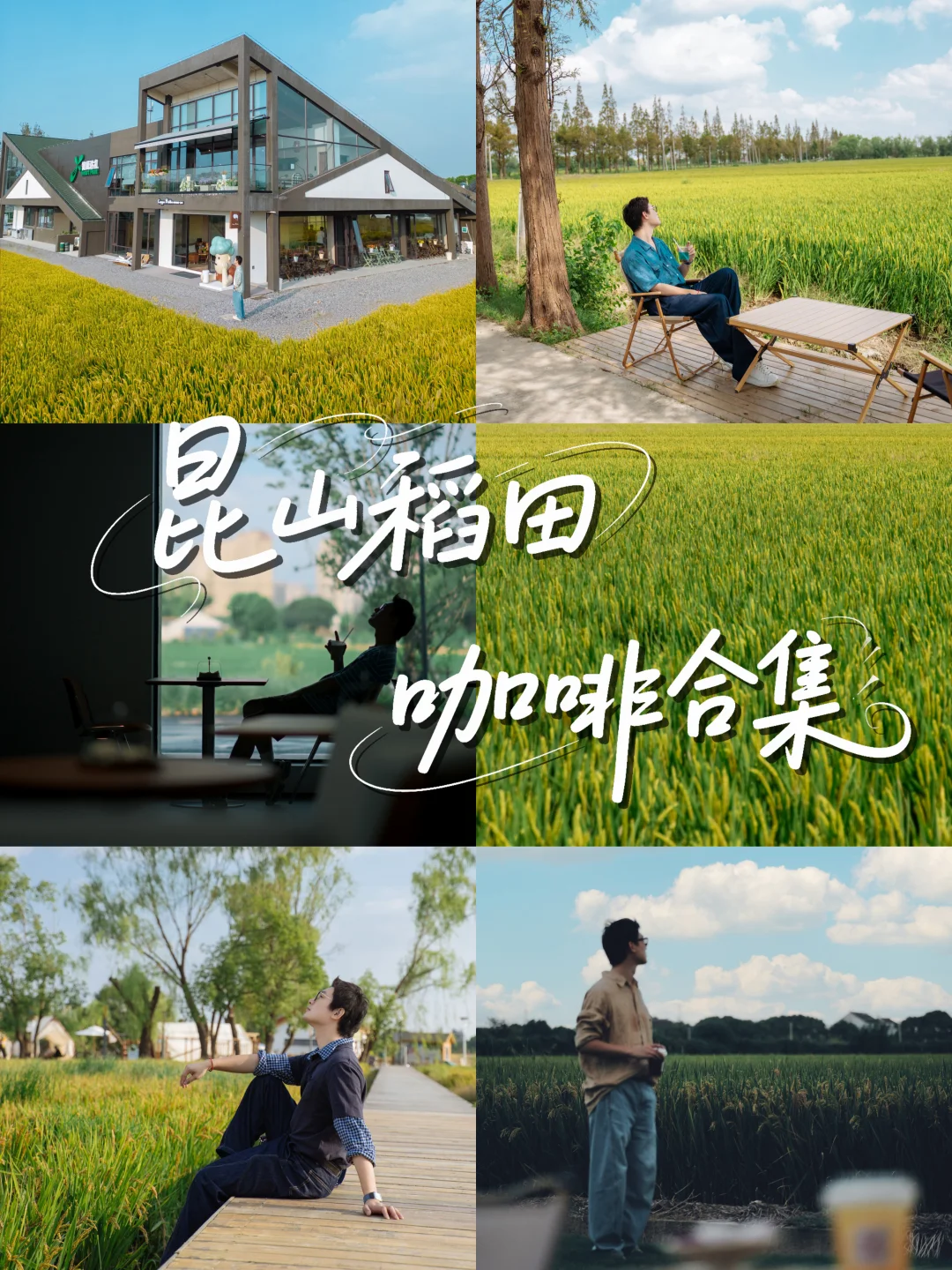 昆山稻田咖啡合集🌾秋日限定 就来这几家