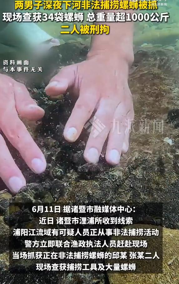 两男子捕捞超1000公斤螺蛳被刑拘，第一次知道，捕捞螺蛳是要被刑拘的。这个螺蛳是