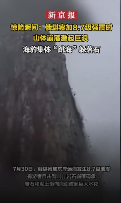 惊险瞬间：俄堪察加8.7级强震时山体崩落激起巨浪， 海豹集体“跳海”躲落石，在大