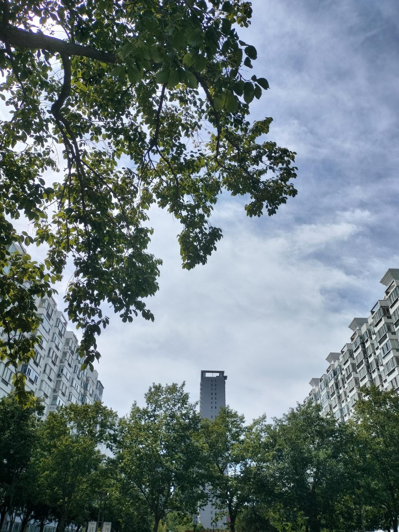 你所在城市的天气凉快下来了吗燕郊的天气凉快点了，秋高气爽，没有桑拿天了，室内温度