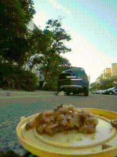 咪咪 吃饭，你倒是快吃啊[泪奔]