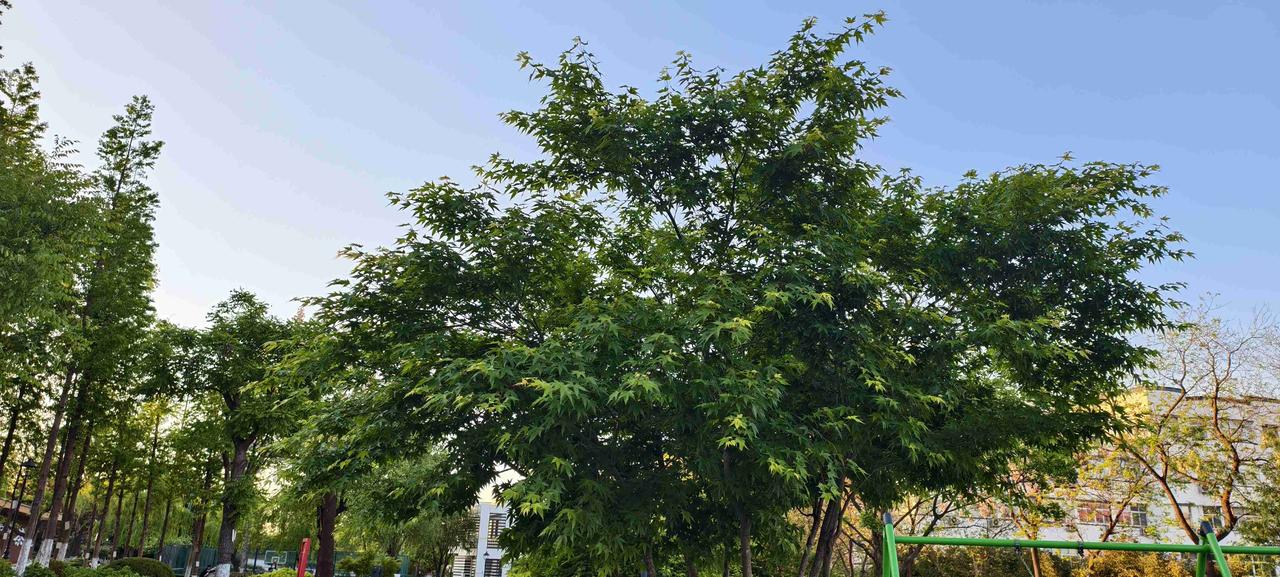 我的今日状态：😁轻松愉快
我这里的天气：☀️晴天