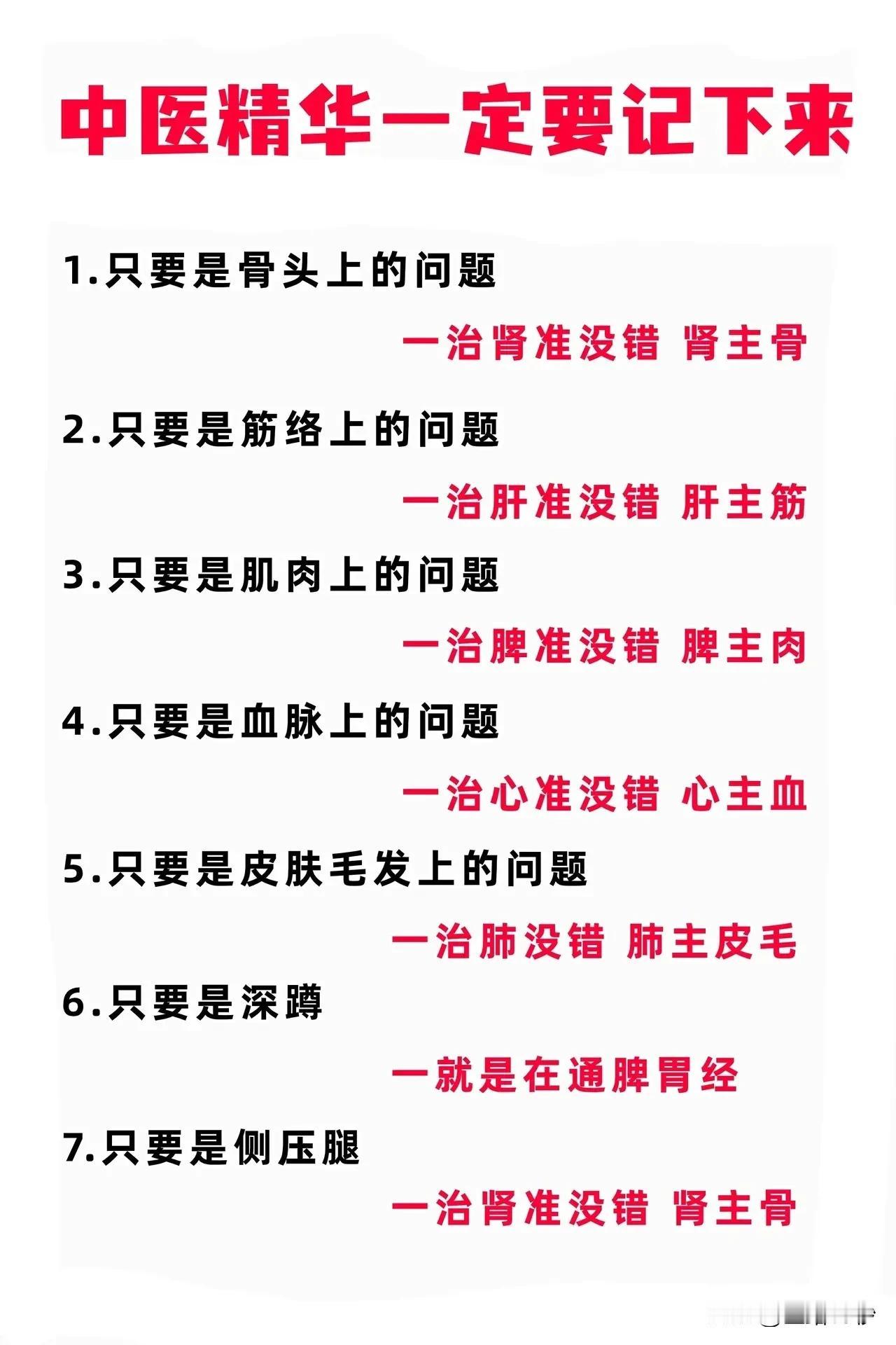 解码身体奥秘，探索脏腑调理之道

“身体发肤，受之父母，不敢毁伤。”古人言简意赅