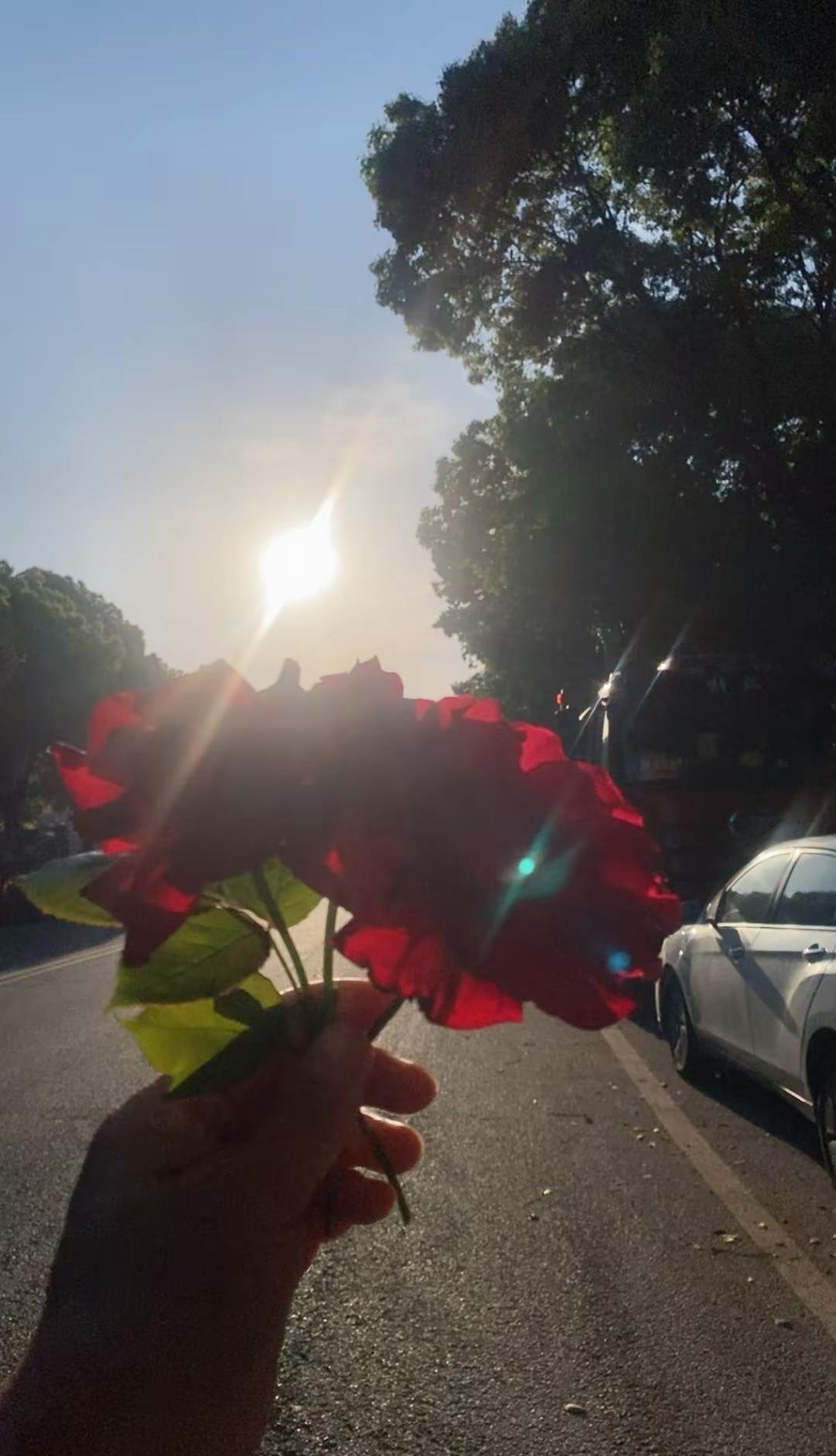 早上去徳合买菜到处都是玫瑰花🌹迎着清晨朝阳真的好美😍摘下一束😊保安看看我，