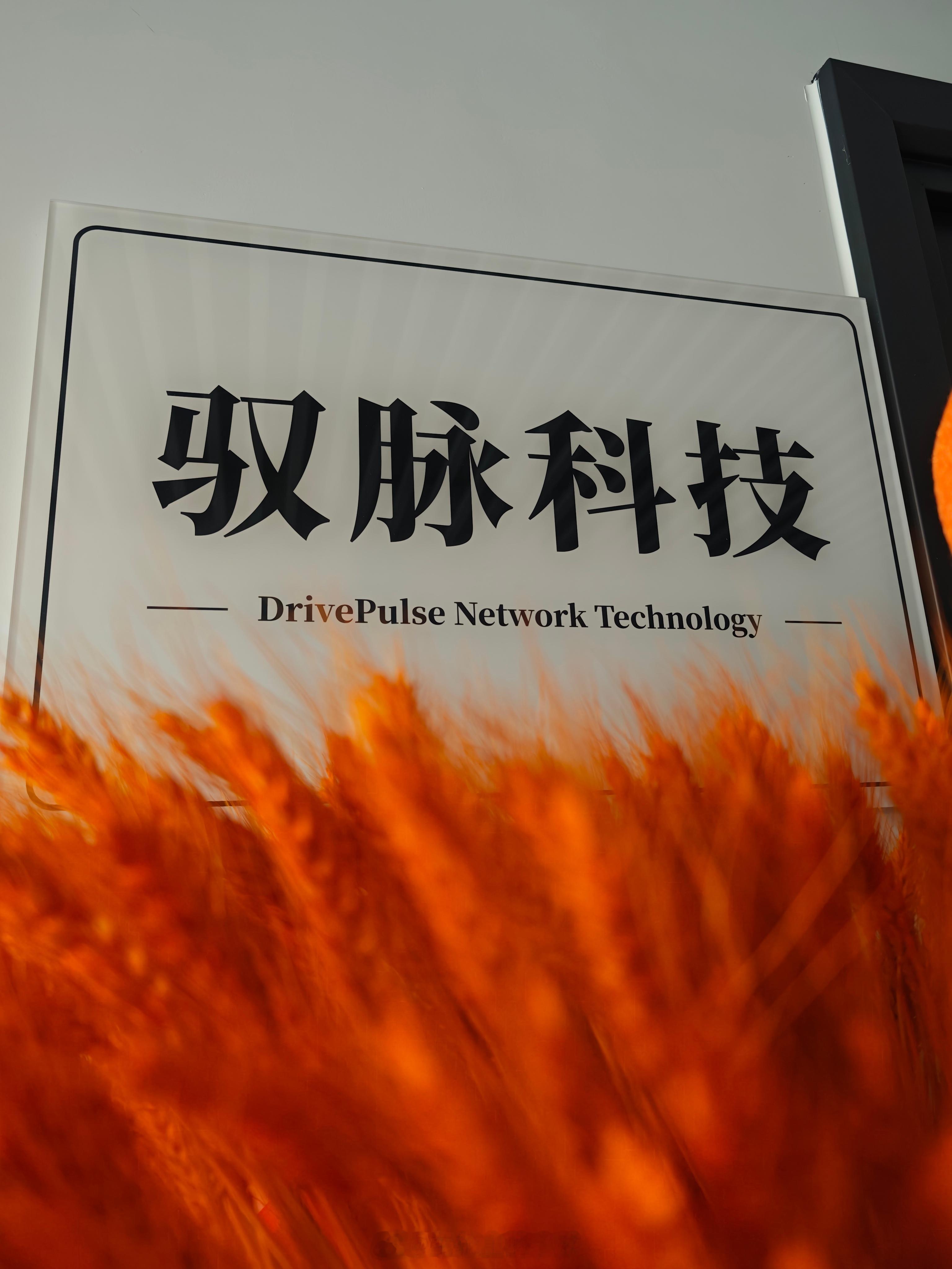 2026，「驭脉」同行！小梦的工作室开门营业咯！ 