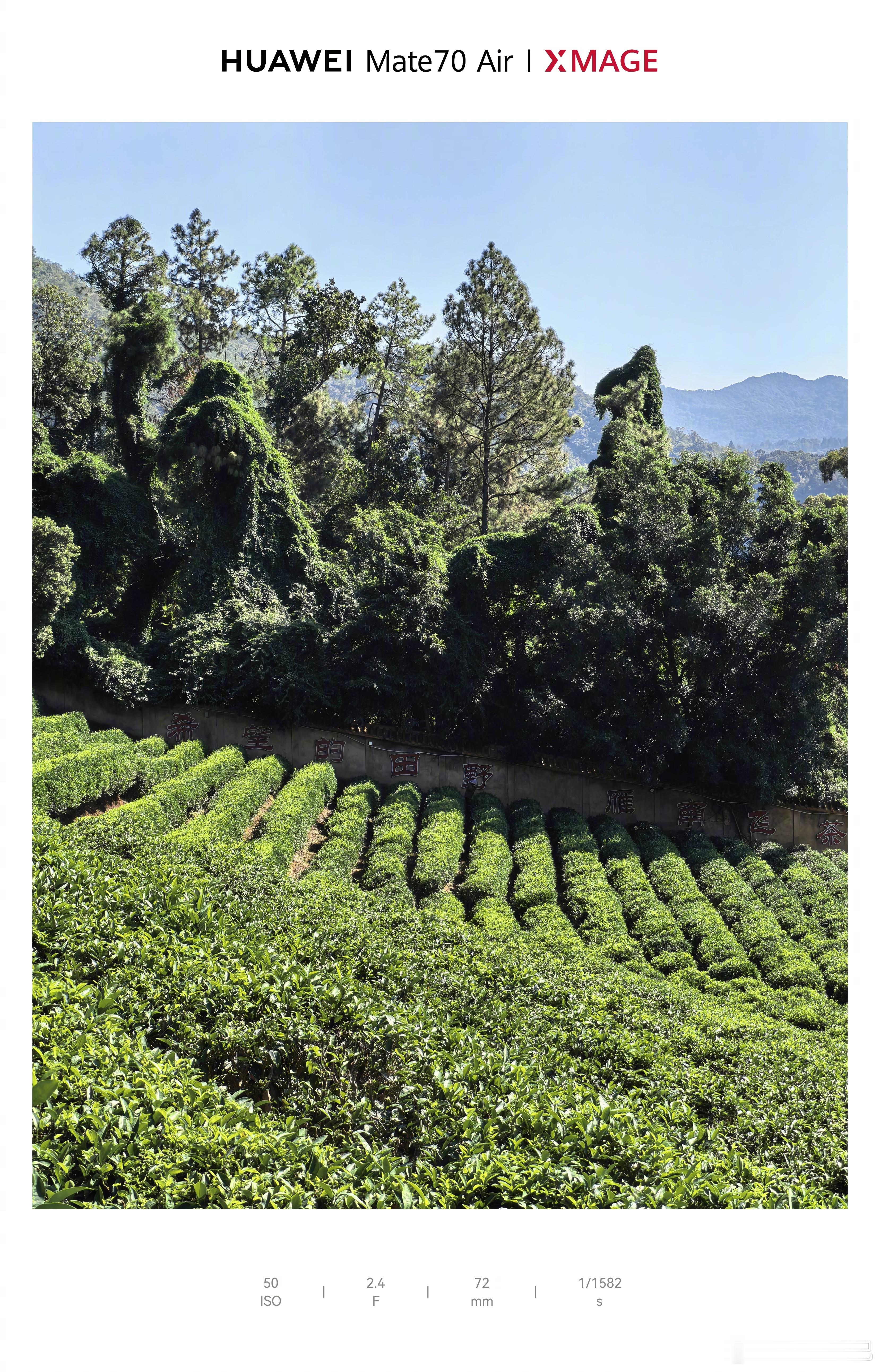 一些华为 Mate70 Air 直出样张，你的评价是___ 