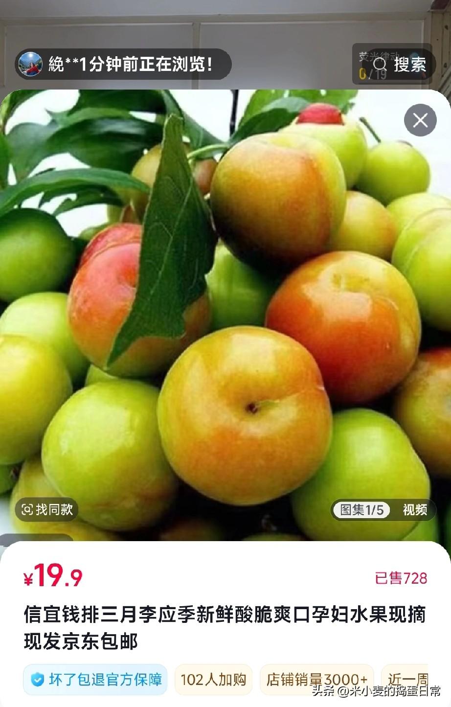 三月李上市就卖14.9元一斤，是“春天的味道”还是“智商税”？
 
信宜钱排的三