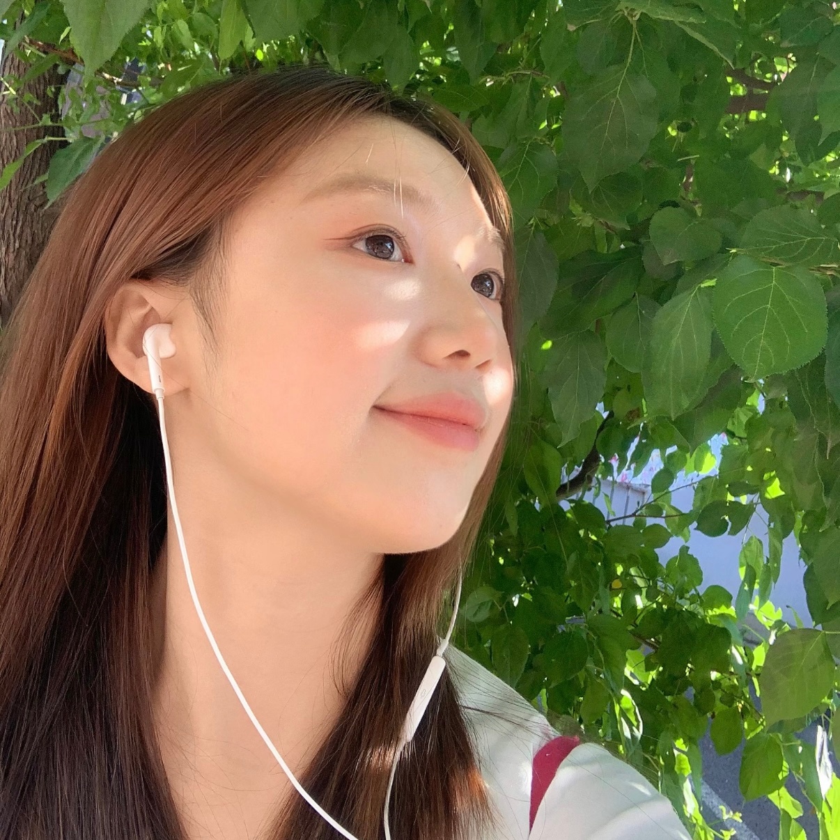 欢迎收看最近准备自用萌萌头像大赏!!! 