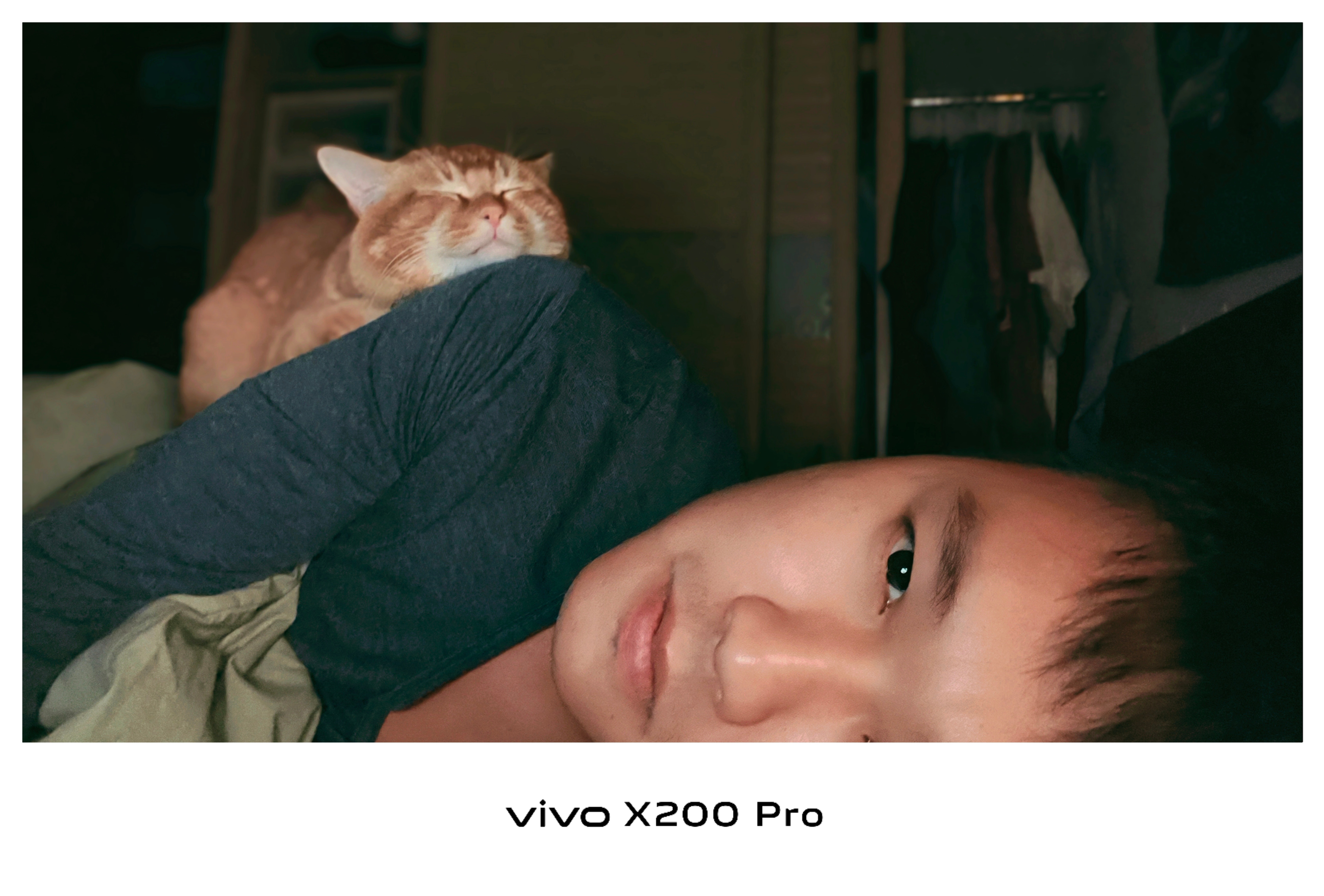 有这样的小猫咪，你几点回家？🐈 