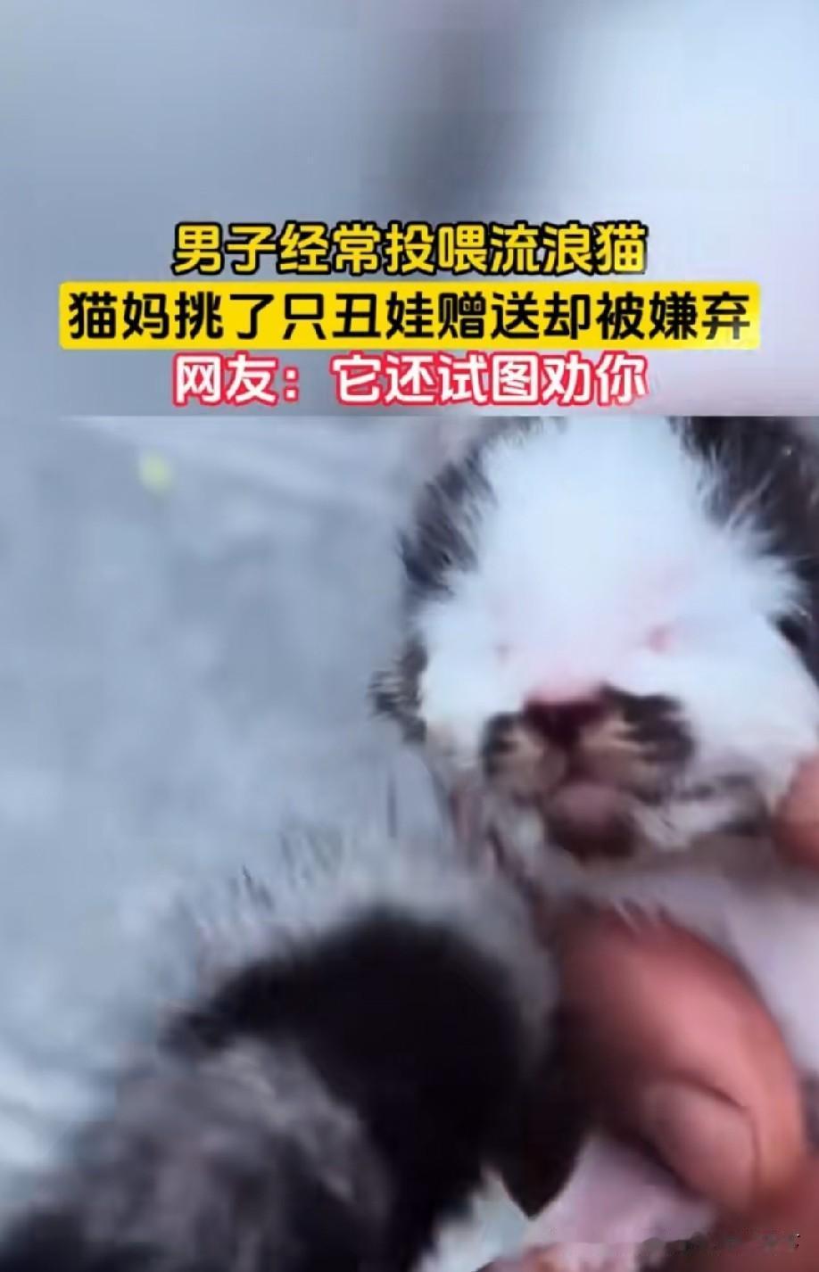 哈哈哈[偷笑]
恩将仇报吗[what]