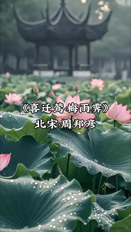 作者加速成长计划一天一词牌：周邦彦《喜迁莺.梅雨霁》赏析！——[词韵观心.第47