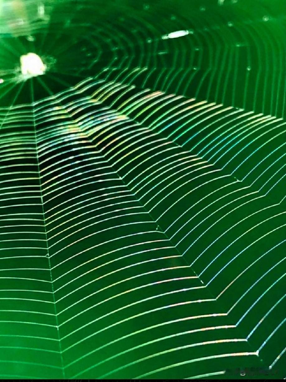 有多少人疯了？

昨天无事，去二嫂家闲聊。
结果一进门就见二哥蹲在大门口，抽出了