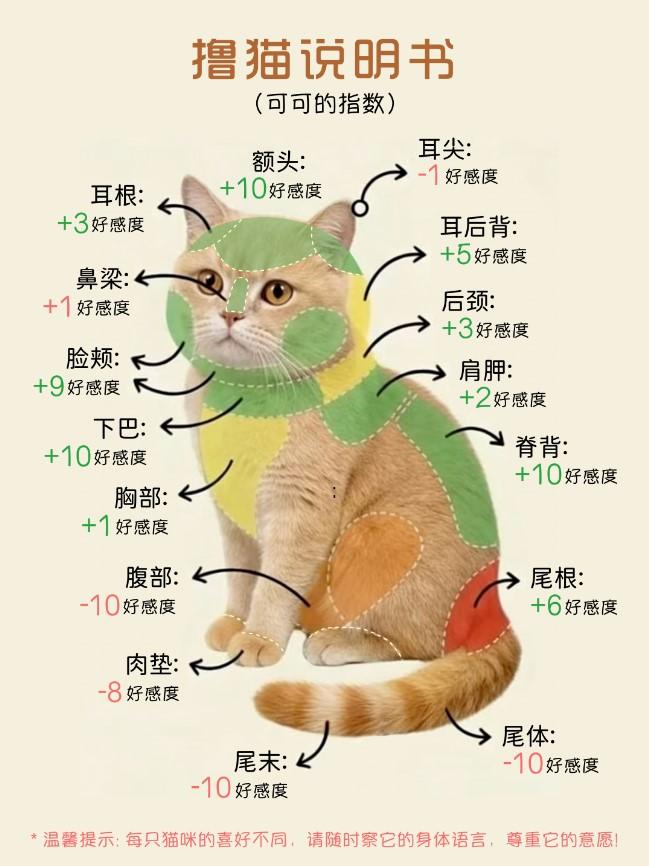 很多铲屎官都有过被猫主子拒绝的经历，其实撸猫也是一门讲究 “投其所好” 的学问，
