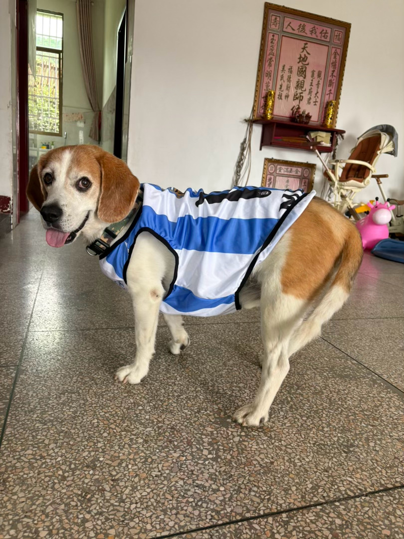 姐姐送的新衣服